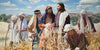 Lord of the Sabbath